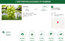 ϵy(tng) 3(g)³ɽ600f(wn)